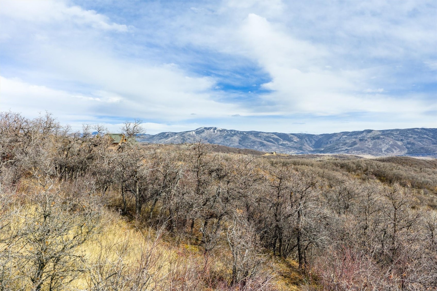 21440 Whitewood Drive W Steamboat Springs CO 80487