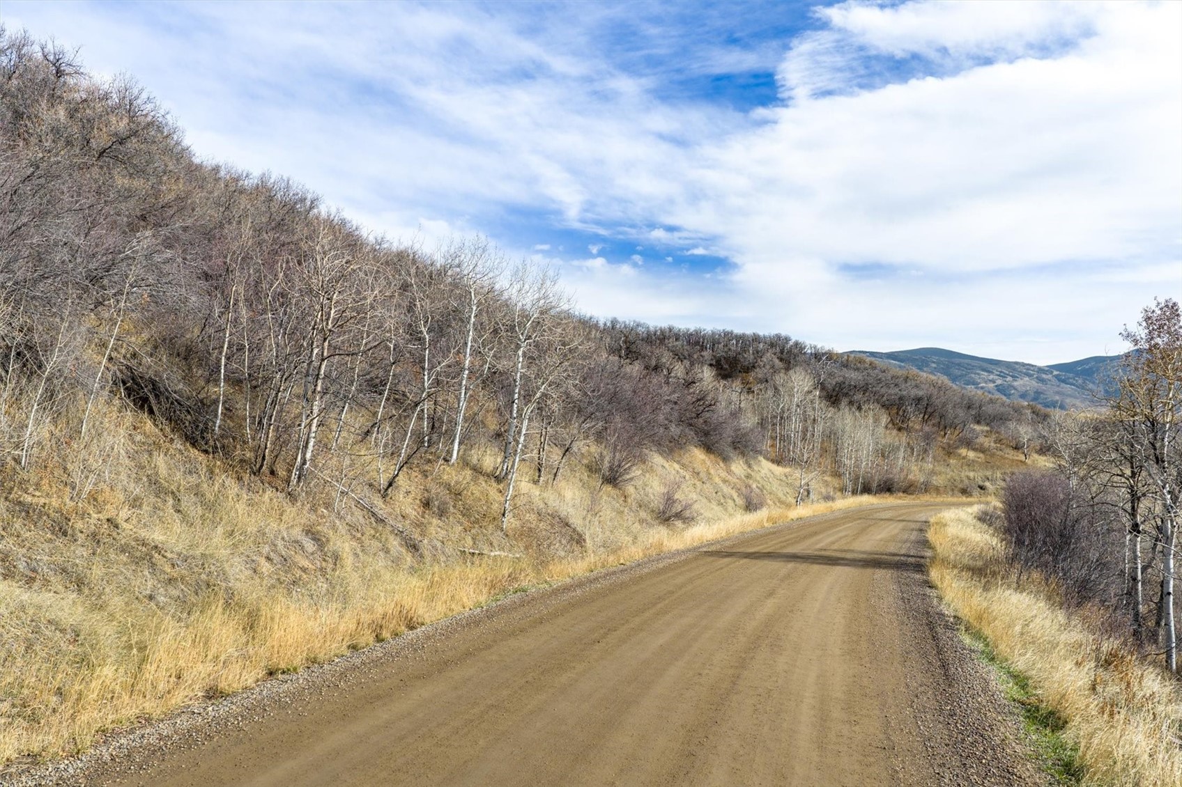 21440 Whitewood Drive W Steamboat Springs CO 80487
