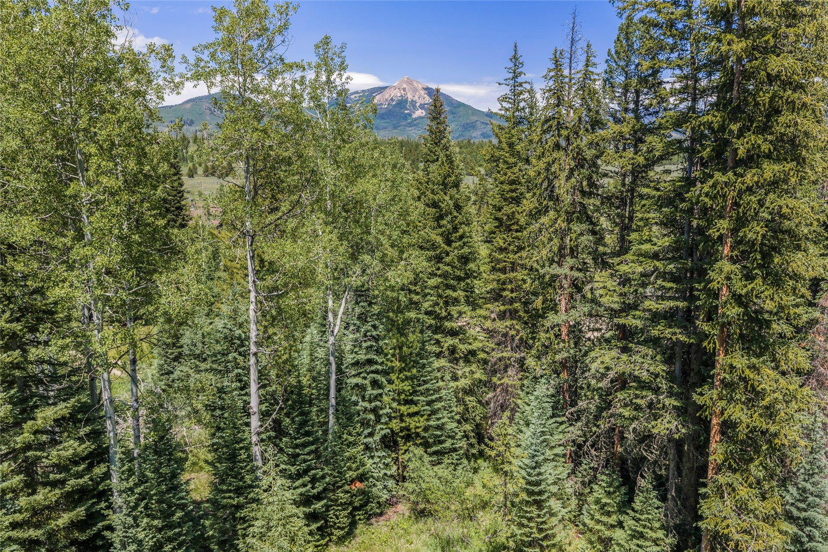 23175 Windward Lane Clark CO 80428