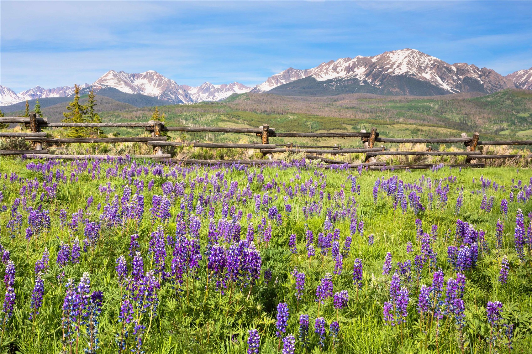 988 Bald Eagle Road Silverthorne CO 80498