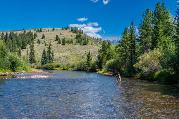 988 Bald Eagle Road Silverthorne CO 80498