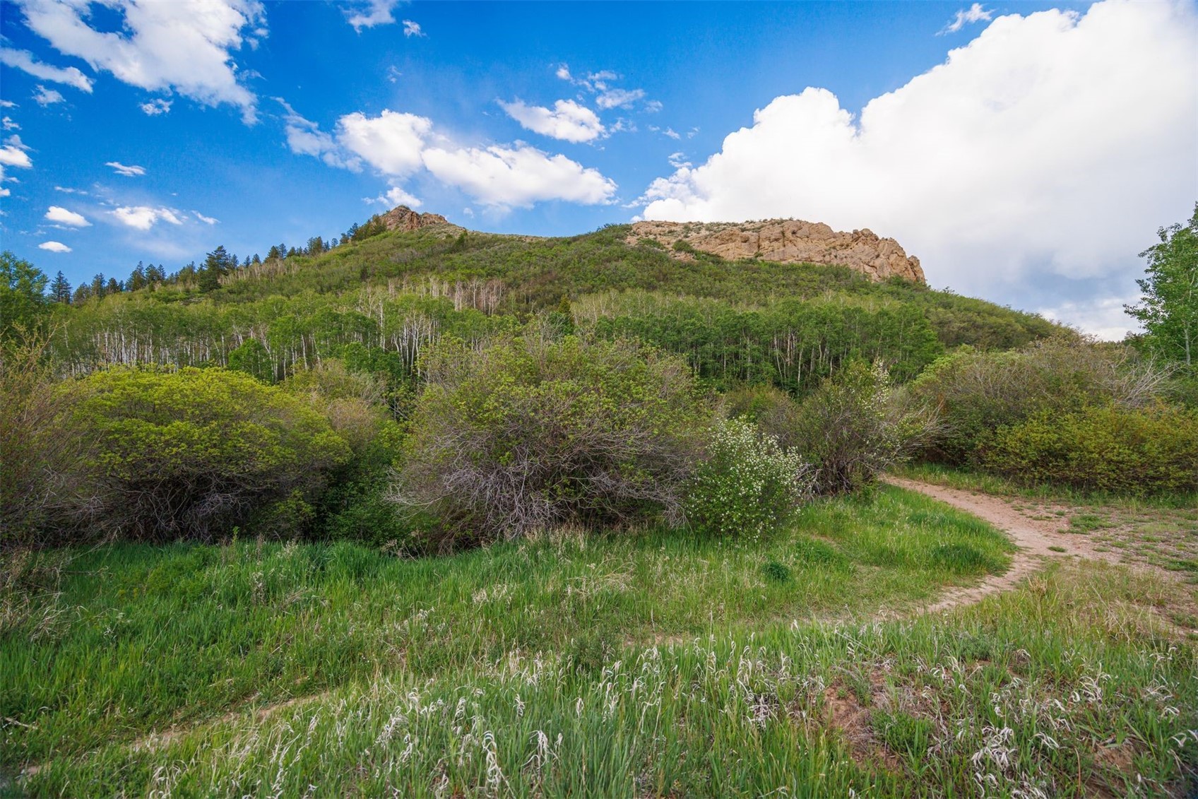 22090 County Road 212 Oak Creek CO 80467