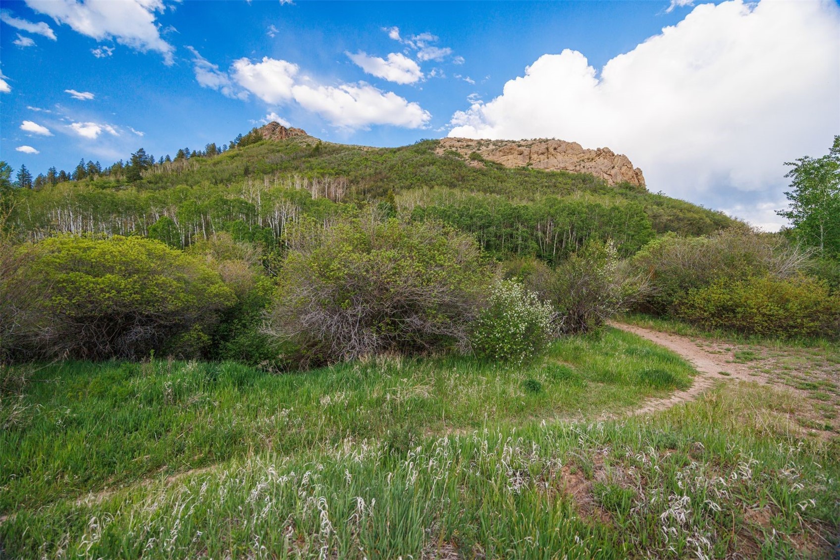22090 County Road 212 Oak Creek CO 80467