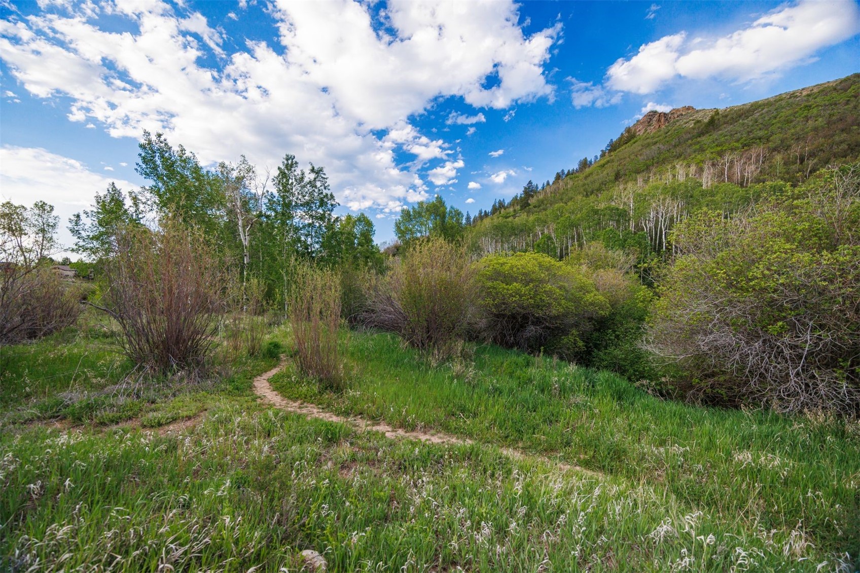 22090 County Road 212 Oak Creek CO 80467