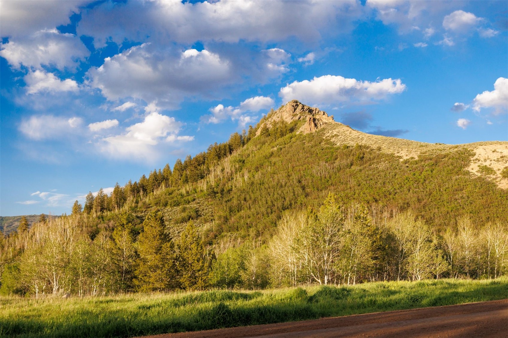 22090 County Road 212 Oak Creek CO 80467