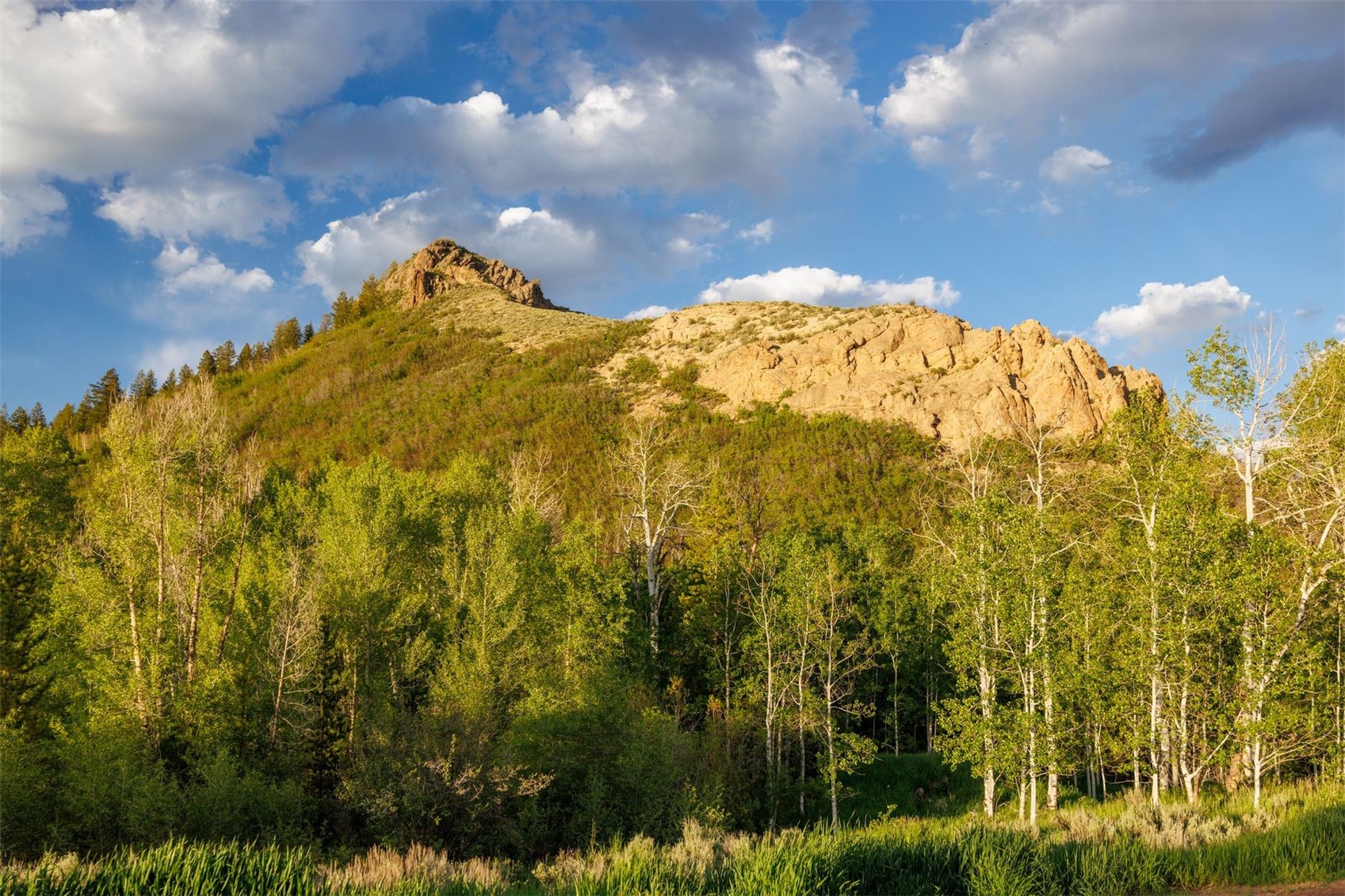 22090 County Road 212 Oak Creek CO 80467