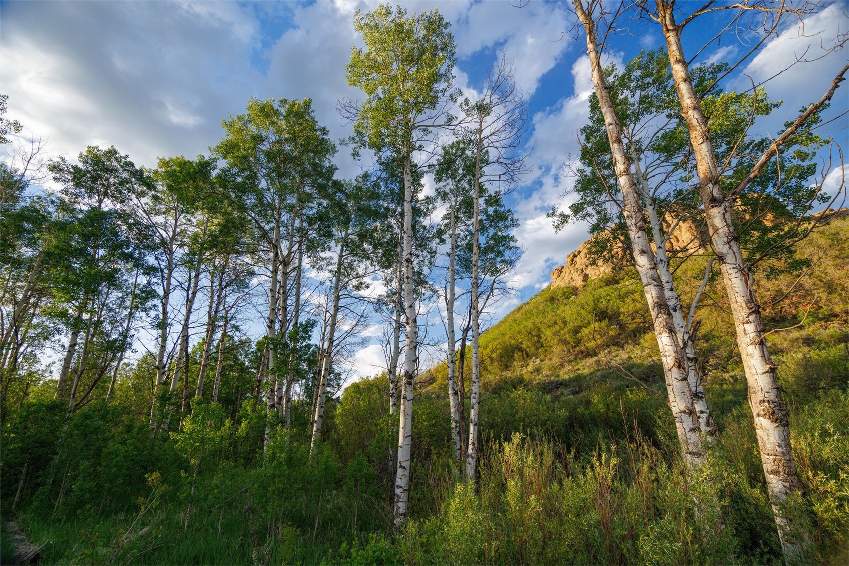 22090 County Road 212 Oak Creek CO 80467