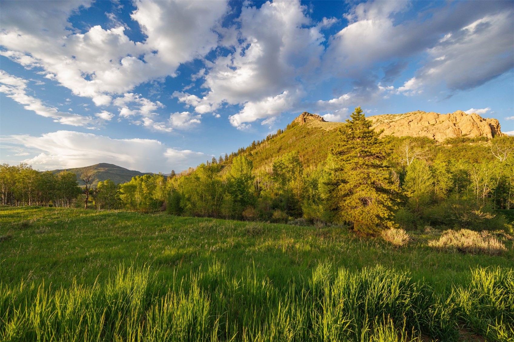 22090 County Road 212 Oak Creek CO 80467