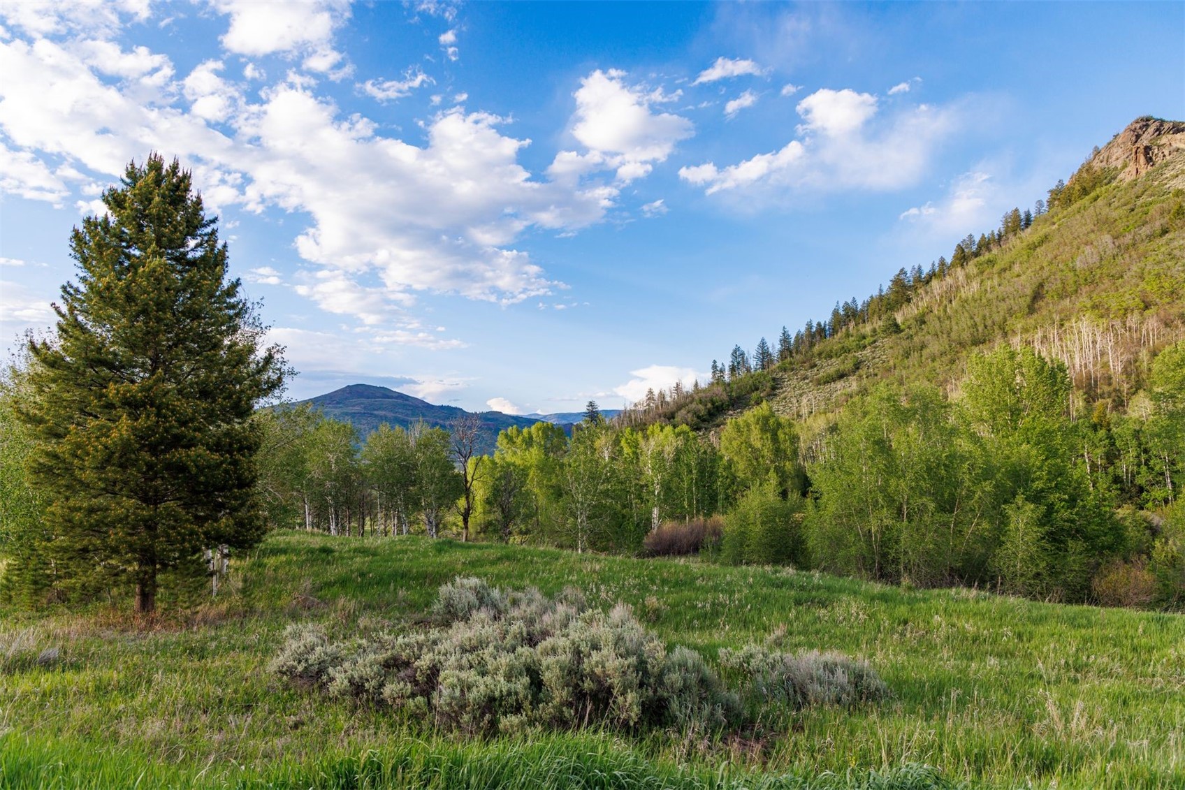 22090 County Road 212 Oak Creek CO 80467