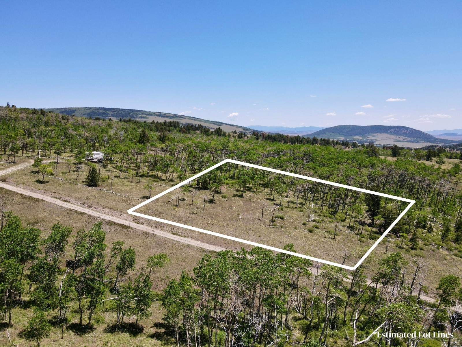 74 Forest Drive Fairplay CO 80440