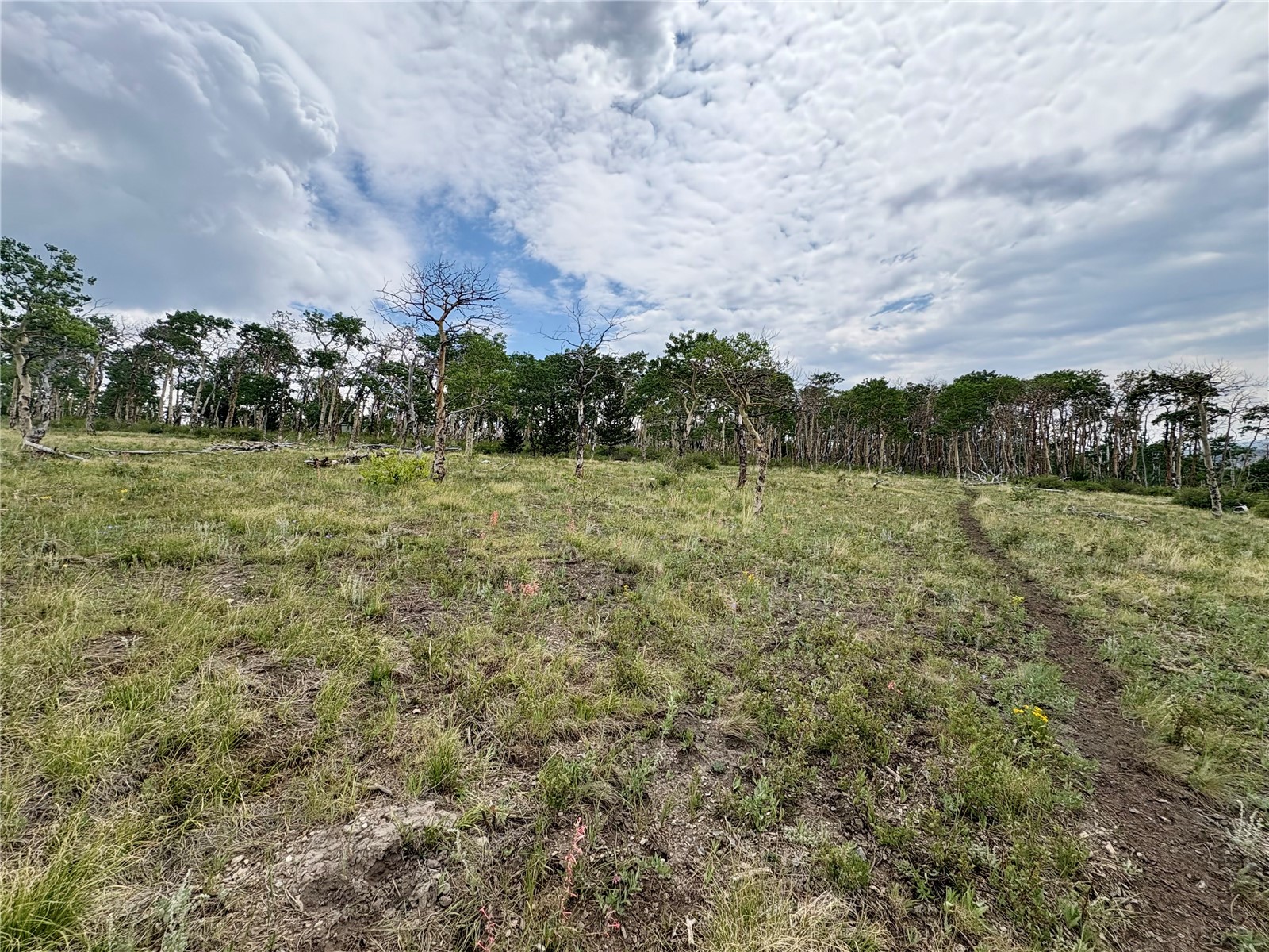 74 Forest Drive Fairplay CO 80440