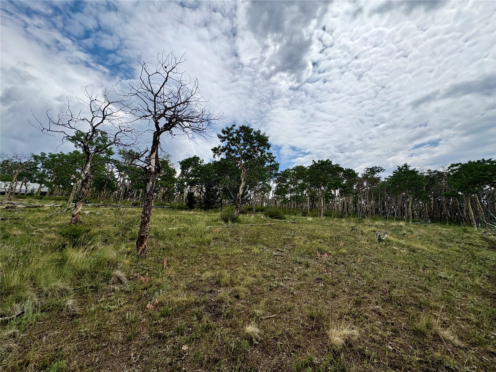 74 Forest Drive Fairplay CO 80440