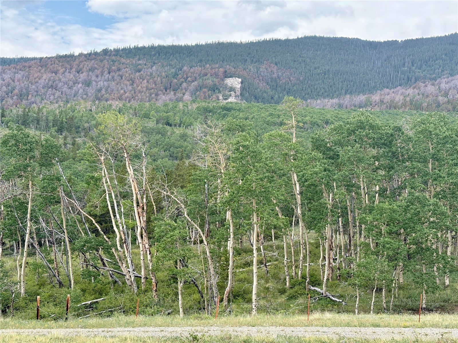 74 Forest Drive Fairplay CO 80440