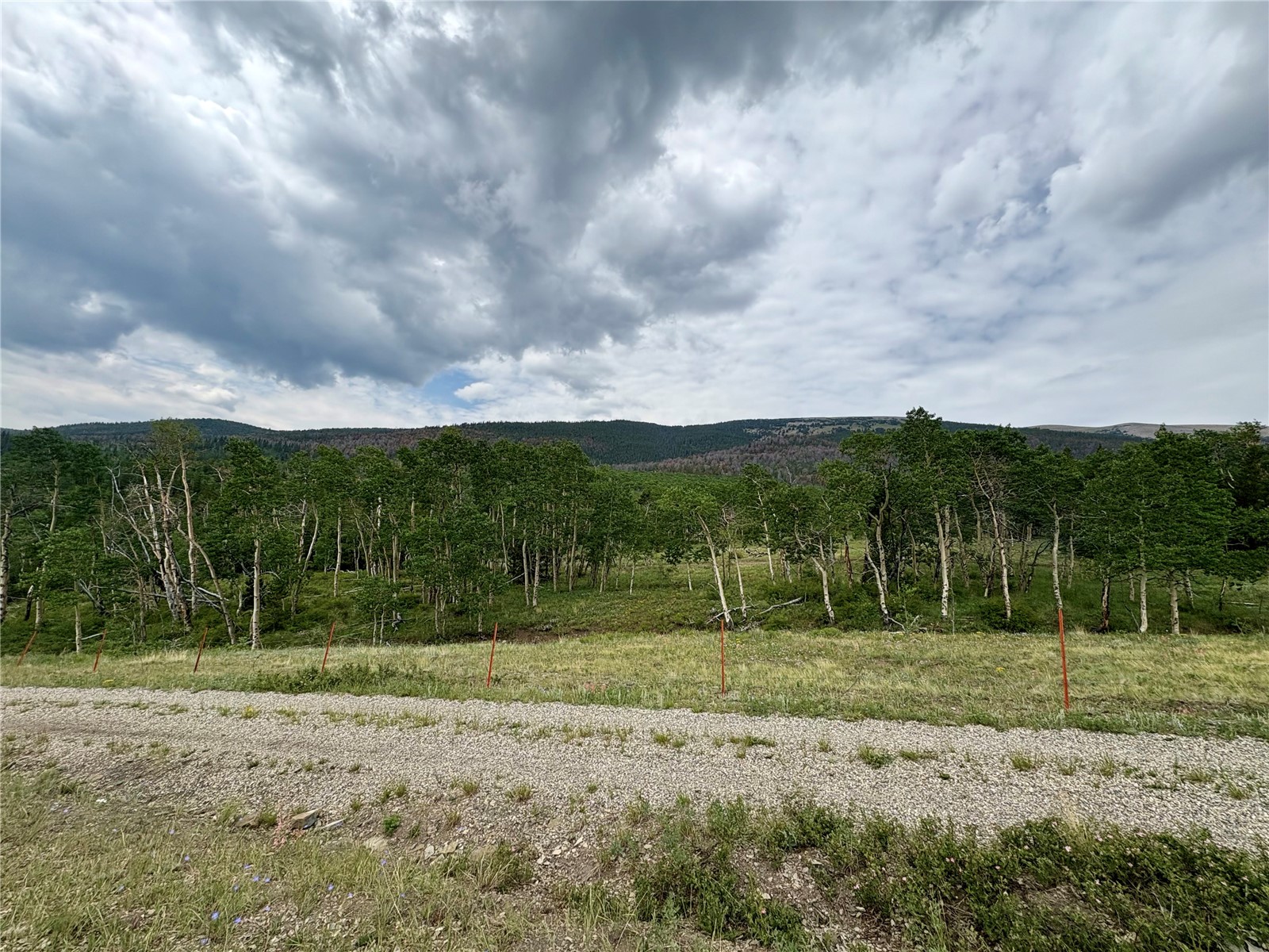 74 Forest Drive Fairplay CO 80440