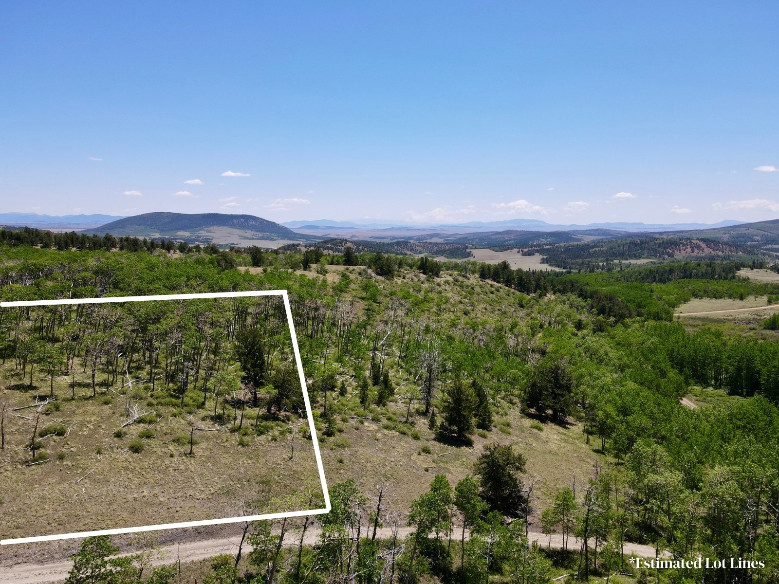 74 Forest Drive Fairplay CO 80440