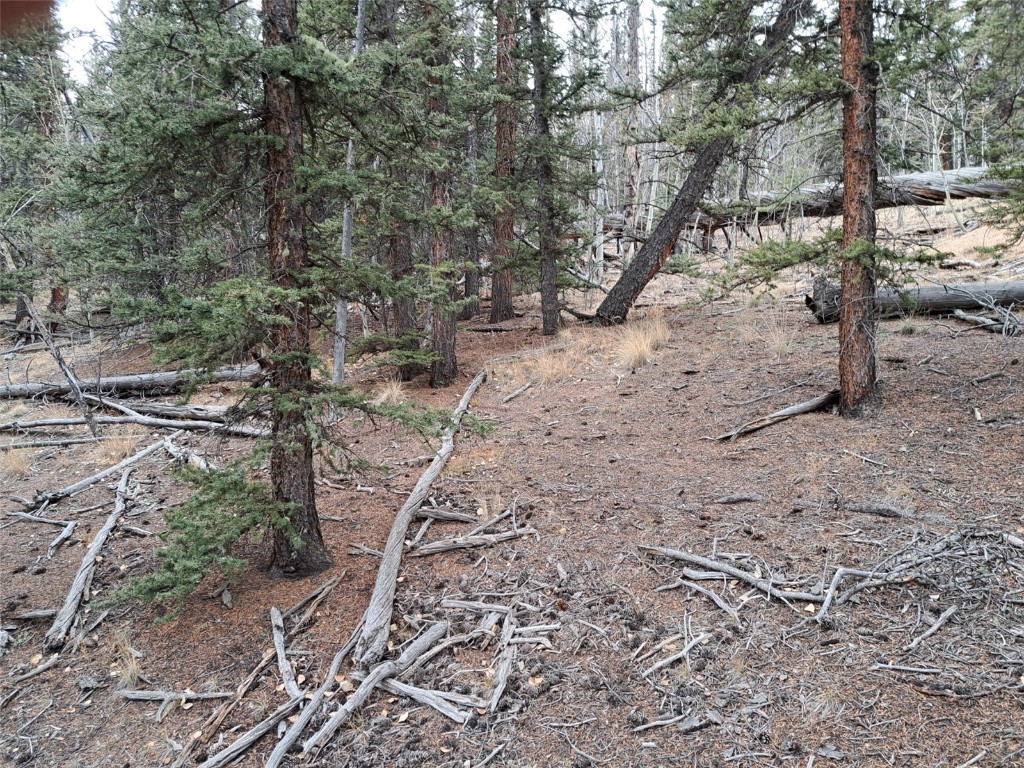 210 Tepee Trail Como CO 80432
