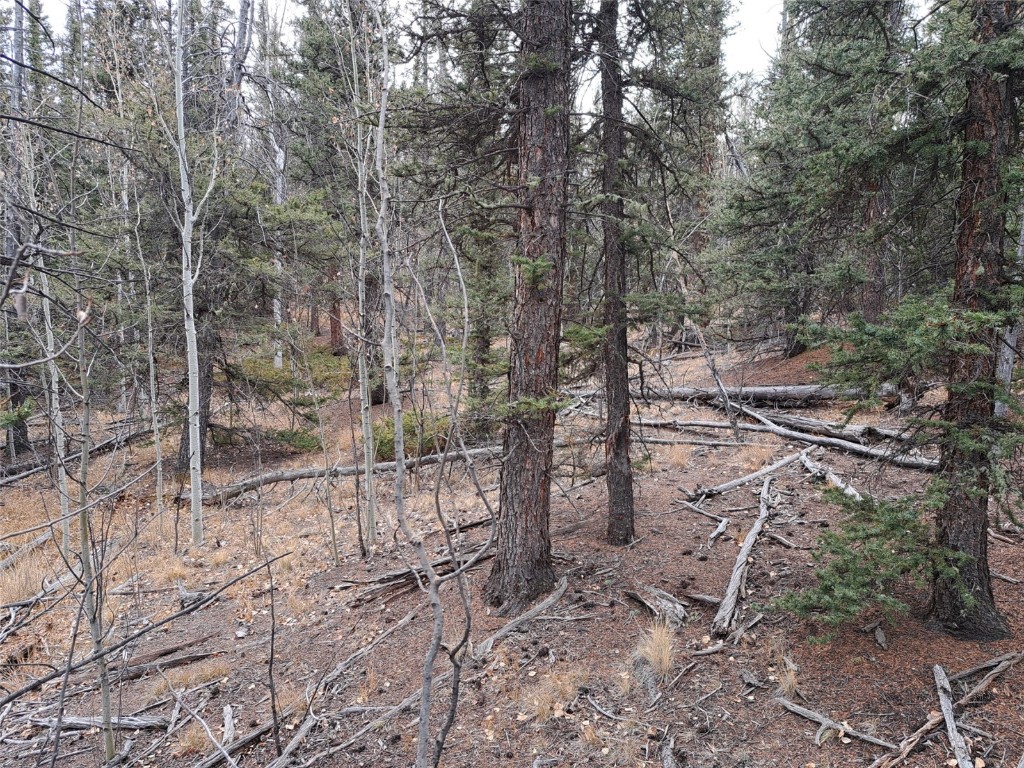 210 Tepee Trail Como CO 80432