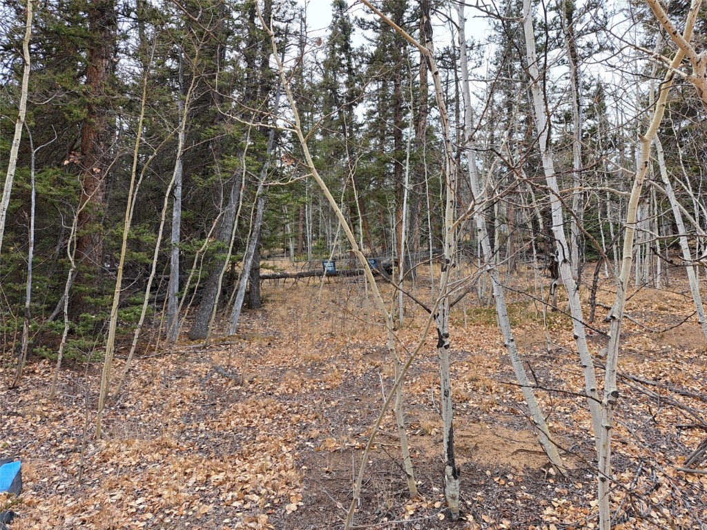 210 Tepee Trail Como CO 80432