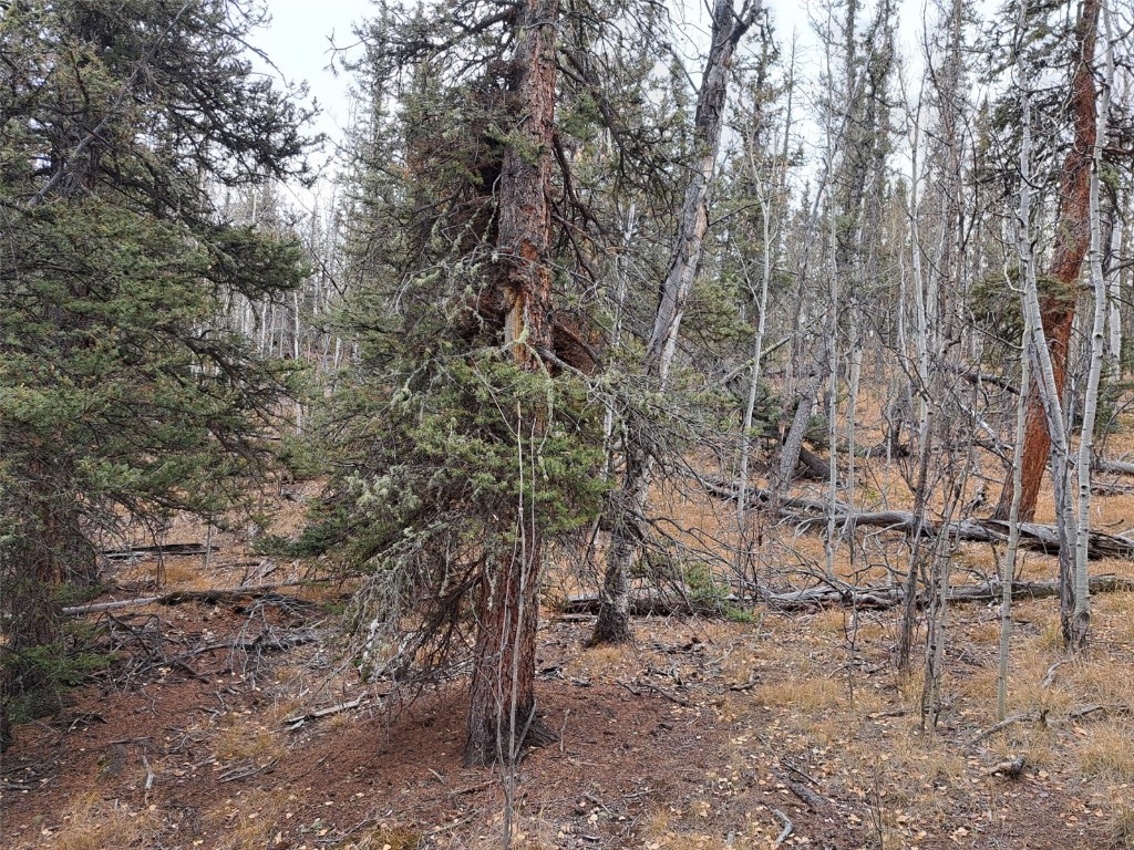 210 Tepee Trail Como CO 80432
