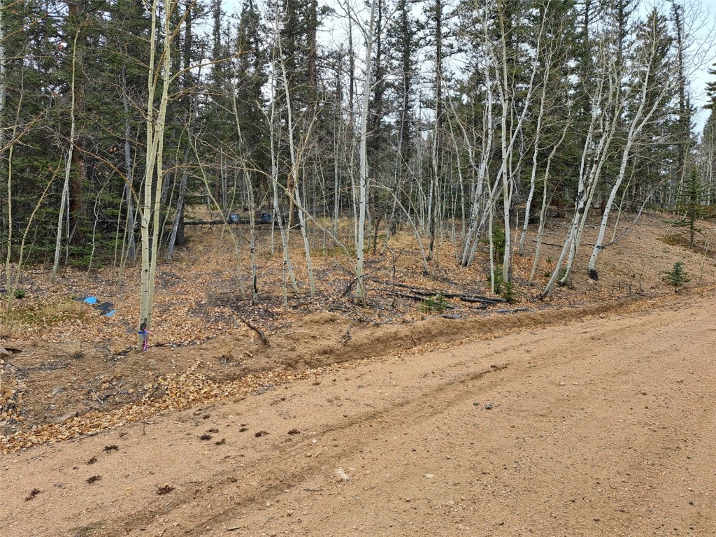 210 Tepee Trail Como CO 80432