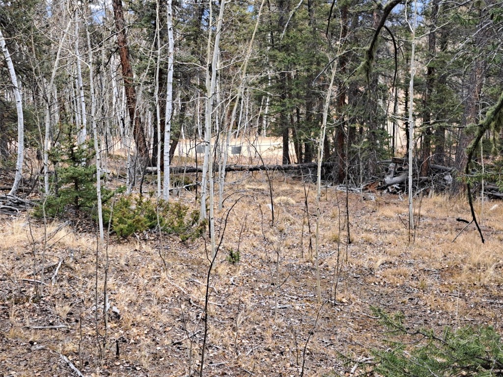 210 Tepee Trail Como CO 80432