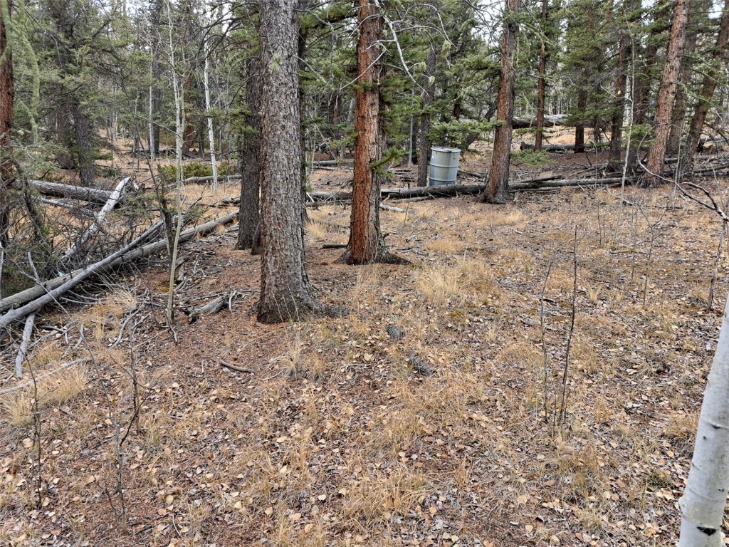 210 Tepee Trail Como CO 80432