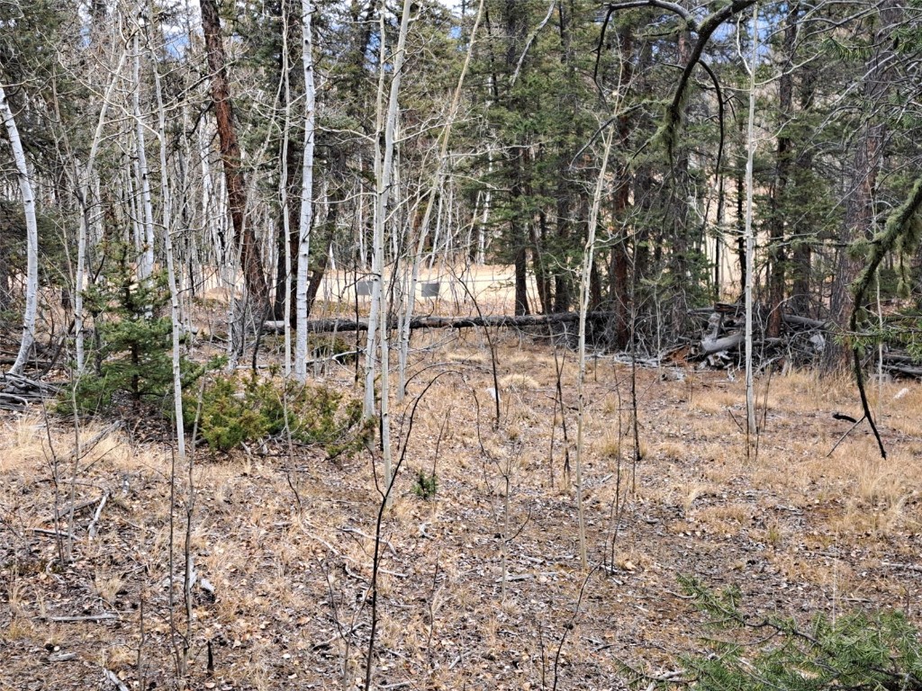 210 Tepee Trail Como CO 80432
