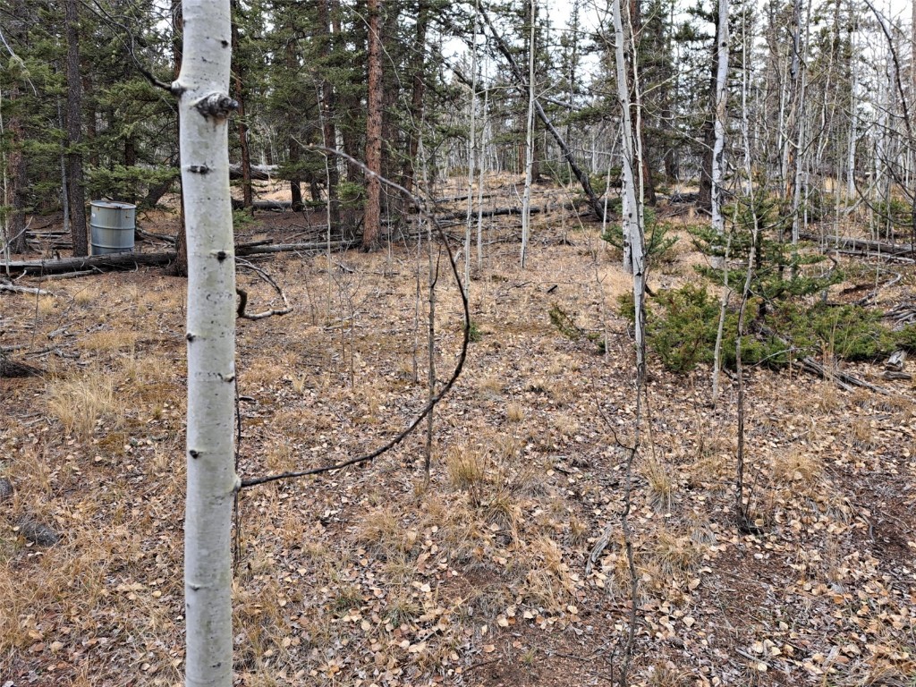 210 Tepee Trail Como CO 80432