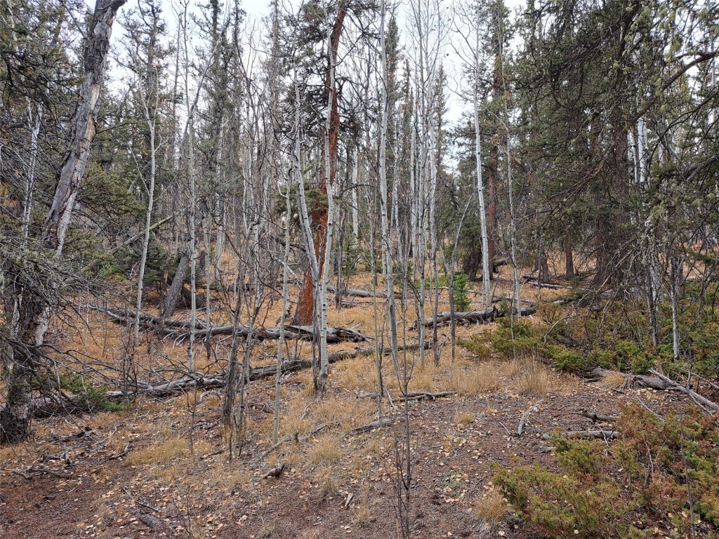 210 Tepee Trail Como CO 80432