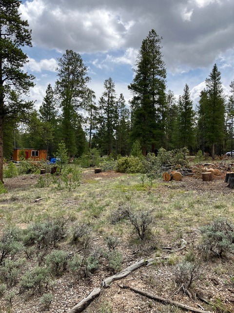 493 & 511 Spruce Drive Twin Lakes CO 81251