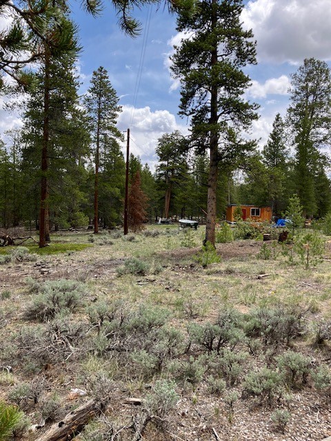 493 & 511 Spruce Drive Twin Lakes CO 81251
