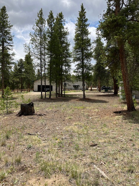 493 & 511 Spruce Drive Twin Lakes CO 81251