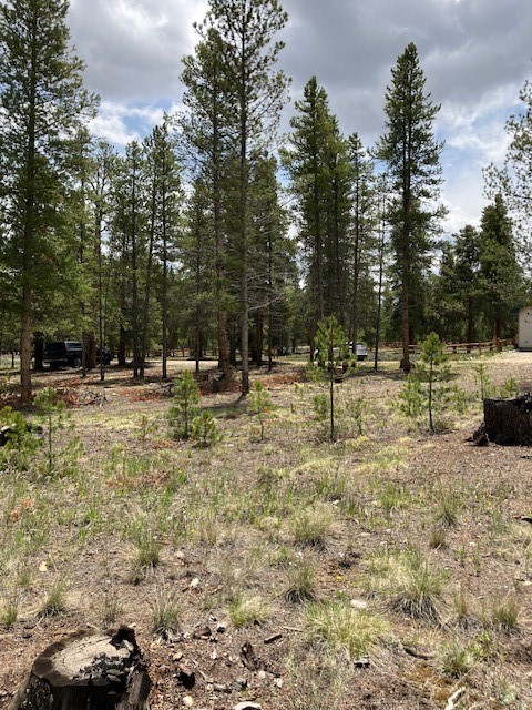 493 & 511 Spruce Drive Twin Lakes CO 81251
