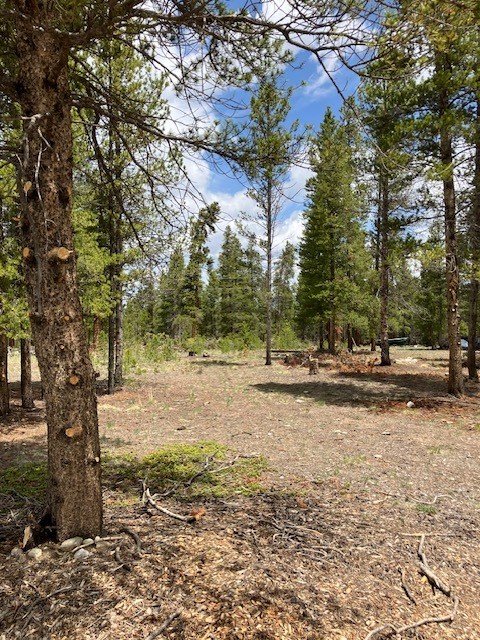 493 & 511 Spruce Drive Twin Lakes CO 81251