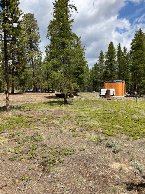 493 & 511 Spruce Drive Twin Lakes CO 81251