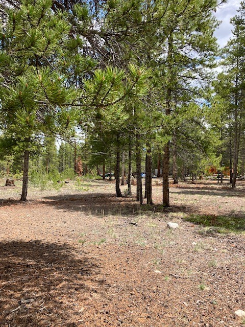 493 & 511 Spruce Drive Twin Lakes CO 81251