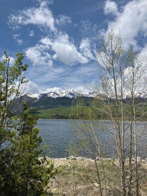 493 & 511 Spruce Drive Twin Lakes CO 81251