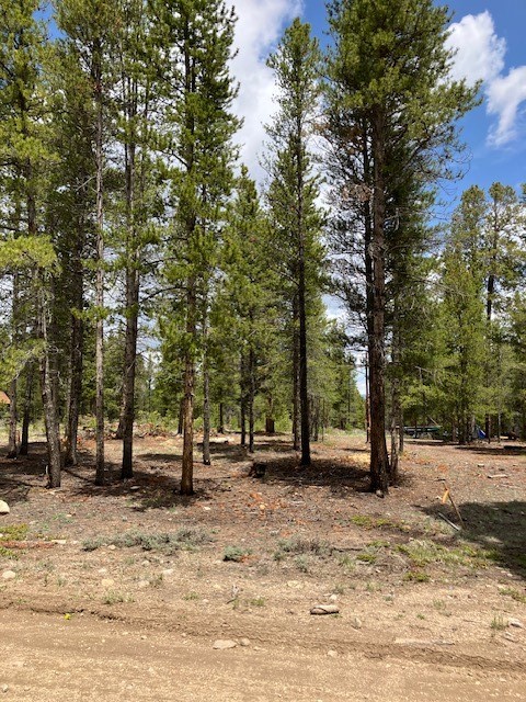 493 & 511 Spruce Drive Twin Lakes CO 81251