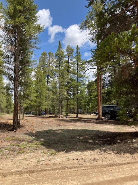 493 & 511 Spruce Drive Twin Lakes CO 81251