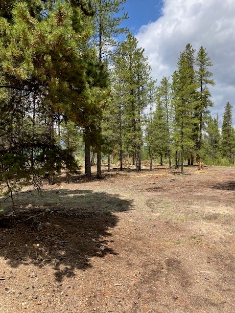 493 & 511 Spruce Drive Twin Lakes CO 81251