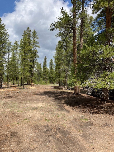 493 & 511 Spruce Drive Twin Lakes CO 81251