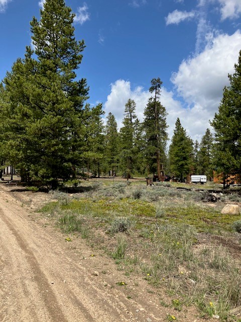 493 & 511 Spruce Drive Twin Lakes CO 81251