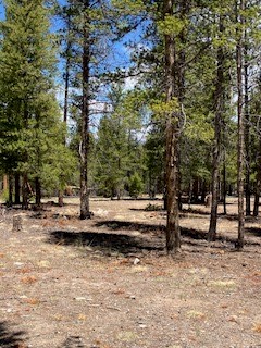 493 & 511 Spruce Drive Twin Lakes CO 81251