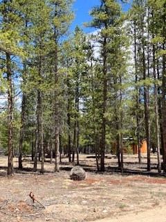 493 & 511 Spruce Drive Twin Lakes CO 81251