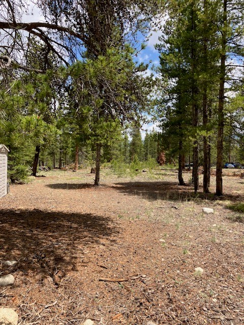 493 & 511 Spruce Drive Twin Lakes CO 81251