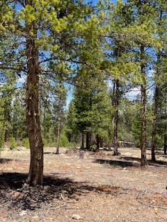 493 & 511 Spruce Drive Twin Lakes CO 81251