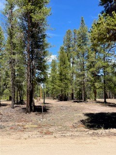 493 & 511 Spruce Drive Twin Lakes CO 81251