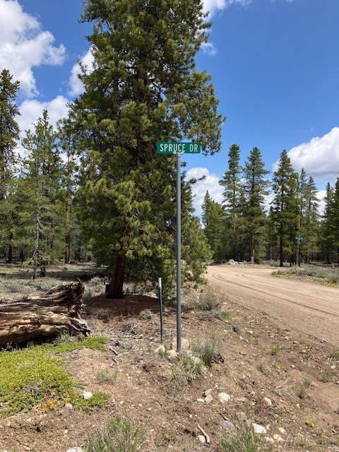 493 & 511 Spruce Drive Twin Lakes CO 81251