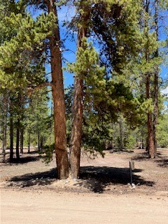 493 & 511 Spruce Drive Twin Lakes CO 81251