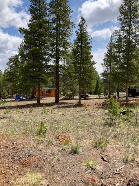 493 & 511 Spruce Drive Twin Lakes CO 81251